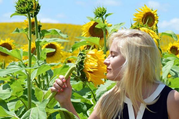 Anna mainostesi kukkia kesällä – helposti ja tehokkaasti